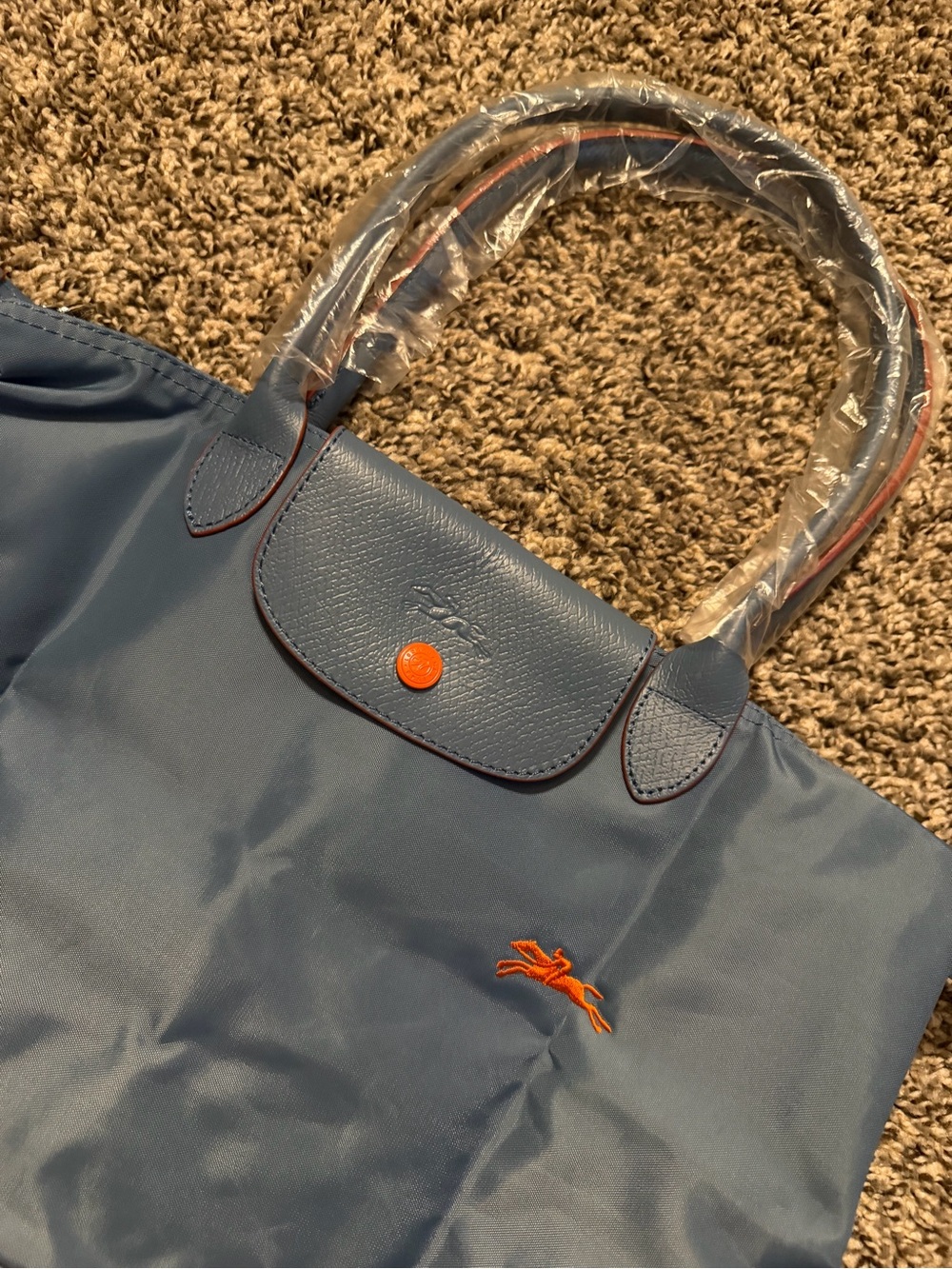 Longchamp Green Blue Mini Crossbody with Orange Accent - Picture 4 of 8